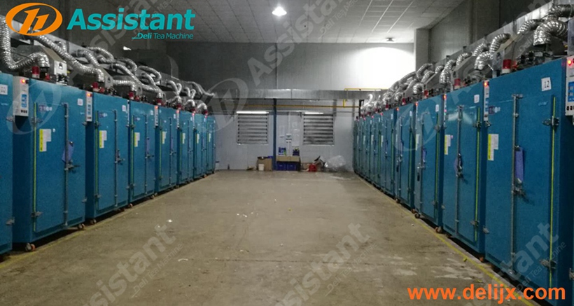 Food Seafood Vegetable Melon Flower Fruit Dryer Drying Machine Gas And Electric Heating 6CHZ-Q14