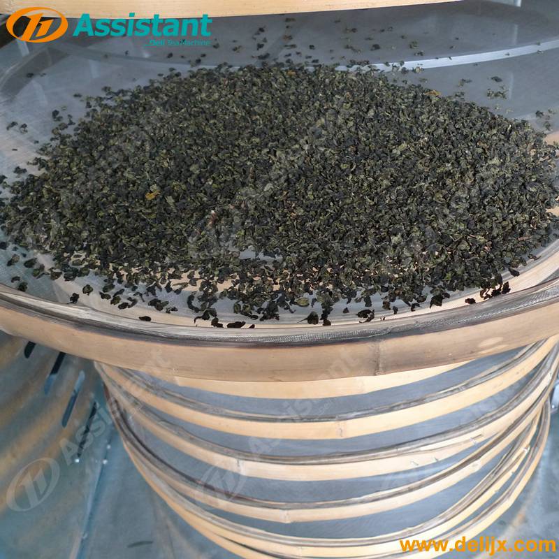 Flower/Green/Black/Herbal Tea Leaf Drying Machine Small Tea Leaves Dryer Machine China Factory 6CZH-9