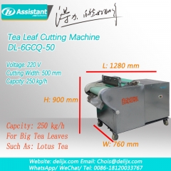 máquina de corte grande das folhas grandes do chá da folha de lótus do chá erval