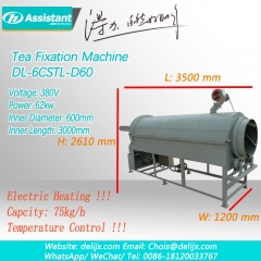 Máquina de vapor de chá verde contínua de aquecimento elétrico dl-6cstl-d60