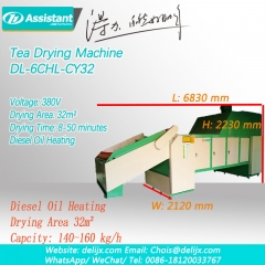 Chapa de cadeia de chá preto folha de cinto tipo continious máquina de secar folha de chá dl-6chl-cy