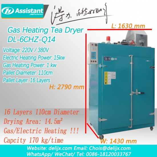 Secador de folhas de chá de aquecimento a gás e elétrico máquina de secagem 6chz-q14