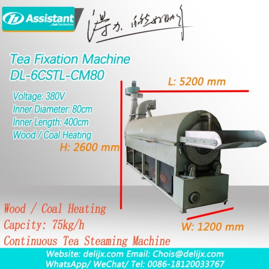 máquina de processamento de fixação de folhas de chá verde carvão de madeira aquecimento tipo de correia contínua