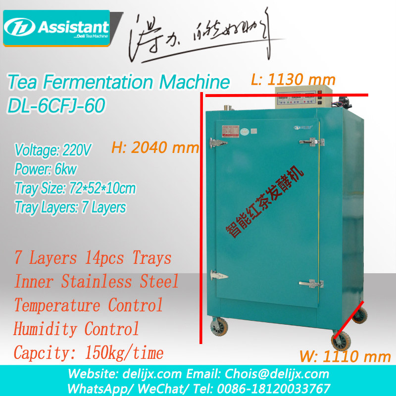 máquina de fermação de chá processo de fermentação do chá preto fermentação de folhas de chá fermentação do chá dl-6cfj-60